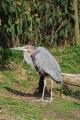 sized_DSC_3276