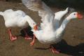 sized_DSC_3304
