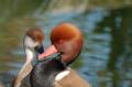 sized_DSC_3357