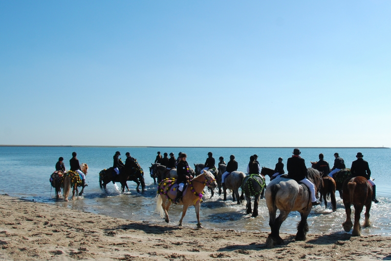 sized_DSC_2036.JPG - De zee in...