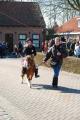 sized_DSC_2246