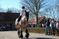 sized_DSC_2262