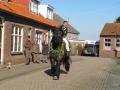 sized_IMG_9304