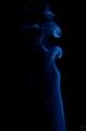 sized_DSC_1571