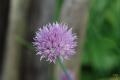 sized_DSC_5874