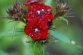 sized_DSC_5889
