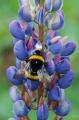 sized_DSC_5973