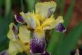 sized_DSC_5977