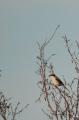 sized_DSC_3462