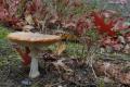 sized_DSC_1604