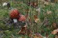 sized_DSC_1625