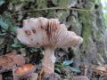 sized_IMG_2687