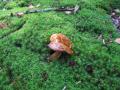 sized_IMG_2834