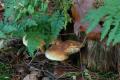 sized_DSC_2184