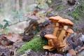 sized_DSC_2211