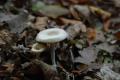 sized_DSC_2229