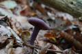 sized_DSC_2240