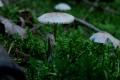 sized_DSC_2254