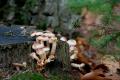 sized_DSC_2340