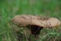 sized_DSC_2367