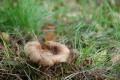 sized_DSC_2369
