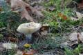 sized_DSC_2372
