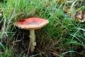 sized_DSC_2376