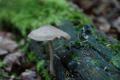 sized_DSC_2399