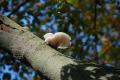 sized_DSC_2402