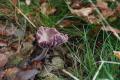 sized_DSC_2430