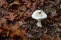 sized_DSC_2446