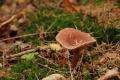 sized_DSC_2474