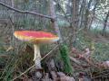 sized_IMG_2750