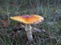 sized_IMG_2759