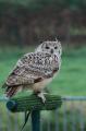 sized_DSC_1666