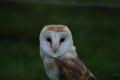 sized_DSC_1739