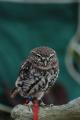 sized_DSC_1741