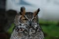 sized_DSC_1750