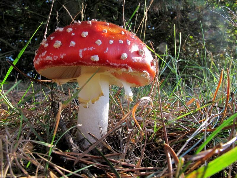 sized_IMG_2881.JPG