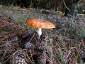 sized_IMG_2874
