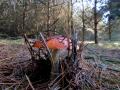 sized_IMG_2876