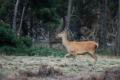 sized_DSC_0319