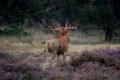 sized_DSC_0406