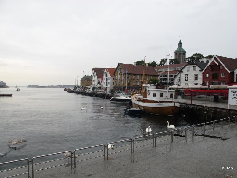 sized_IMG_0817.JPG