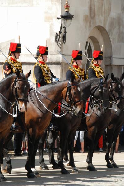 sized_DSC_8384.JPG - Horse guards
