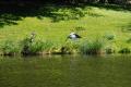 sized_DSC_6425