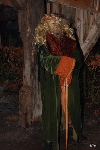 DSC_1616.JPG