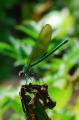 sized_DSC_2728