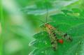 sized_DSC_2746