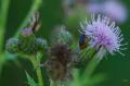 sized_DSC_2757